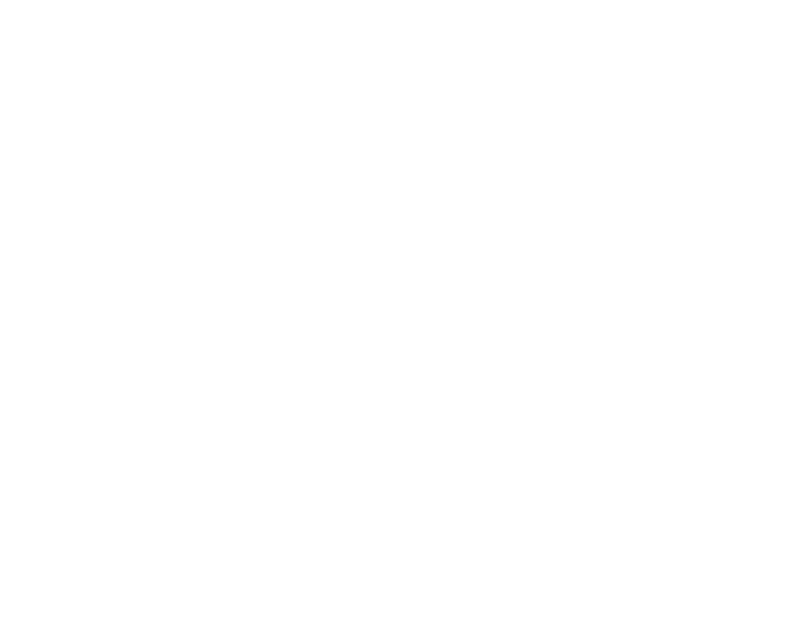 brilions_logo