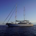 BAY0674