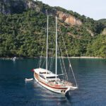 DJI_0131