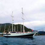 GS-002-Profile-2