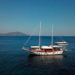 Luna-Yatçılık-4-Kabin-Standart-Gulet-Levant-(3)